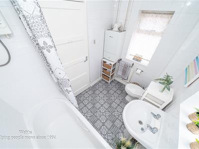 Picture 15